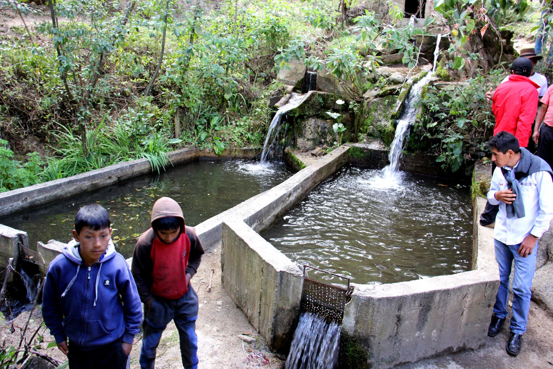 Con agua saludable, Foncodes combate la anemia en Huancavelica. ANDINA/Difusión