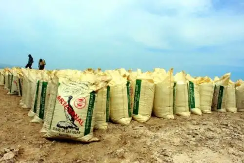Un embarque de 36,000 kilos de guano de las islas, proveniente del puerto de Supe, arribó a la ciudad de Ferreñafe, en la región Lambayeque, con el objetivo de mejorar la productividad de los agricultores de comunidades campesinas, principalmente.