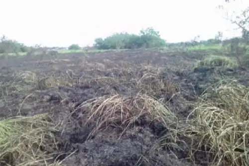 Incendio forestal que se registró en las cercanías de la zona arqueológica de Marcahuamachuco, en el distrito de Huamachuco, en la provincia de Sánchez Cerro, región La Libertad, ha sido extinguido en su totalidad, informó la Dirección Desconcentrada del Instituto Nacional de Defensa Civil (Indeci).ANDINA/Difusión