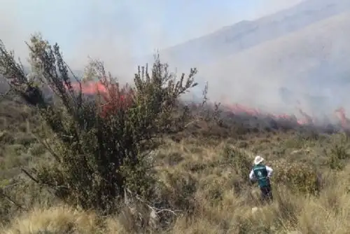 El incendio forestal que se ayer se inició ayer en el sector de Talamolle, región Moquegua, y se extendió hasta el distrito arequipeño de Polobaya, avanza hacia el bosque de queñuales, ubicado en las faldas del volcán Pichu Pichu, advirtió el Servicio Nacional Forestal y de Fauna Silvestre (Serfor).