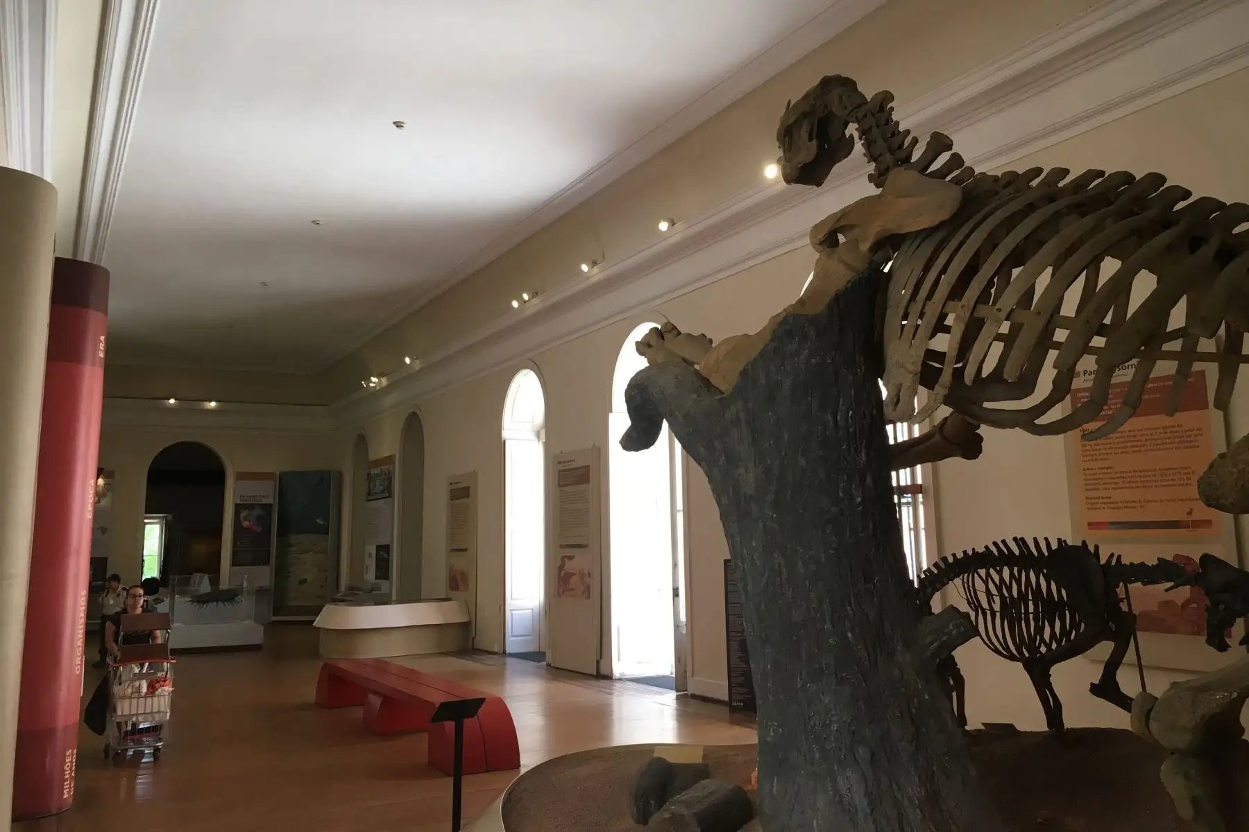 Vista de las pieza únicas en la exhibición en el Museo Nacional en Río de Janeiro, Brasil, el 9 de octubre de 2017.
Un incendio masivo el 2 de septiembre de 2018 destrozó el atesorado Museo Nacional de Río de Janeiro, uno de los más antiguos de Brasil, en lo que el presidente de la nación calificó como una "trágica" pérdida de conocimiento y patrimonio. Incluso antes de que las brasas empezaran a enfriarse la madrugada del lunes, el dolor por la gran pérdida cultural había dado paso a la ira por los recortes presupuestarios generales que amenazaban el patrimonio multicultural de Brasil. / AFP