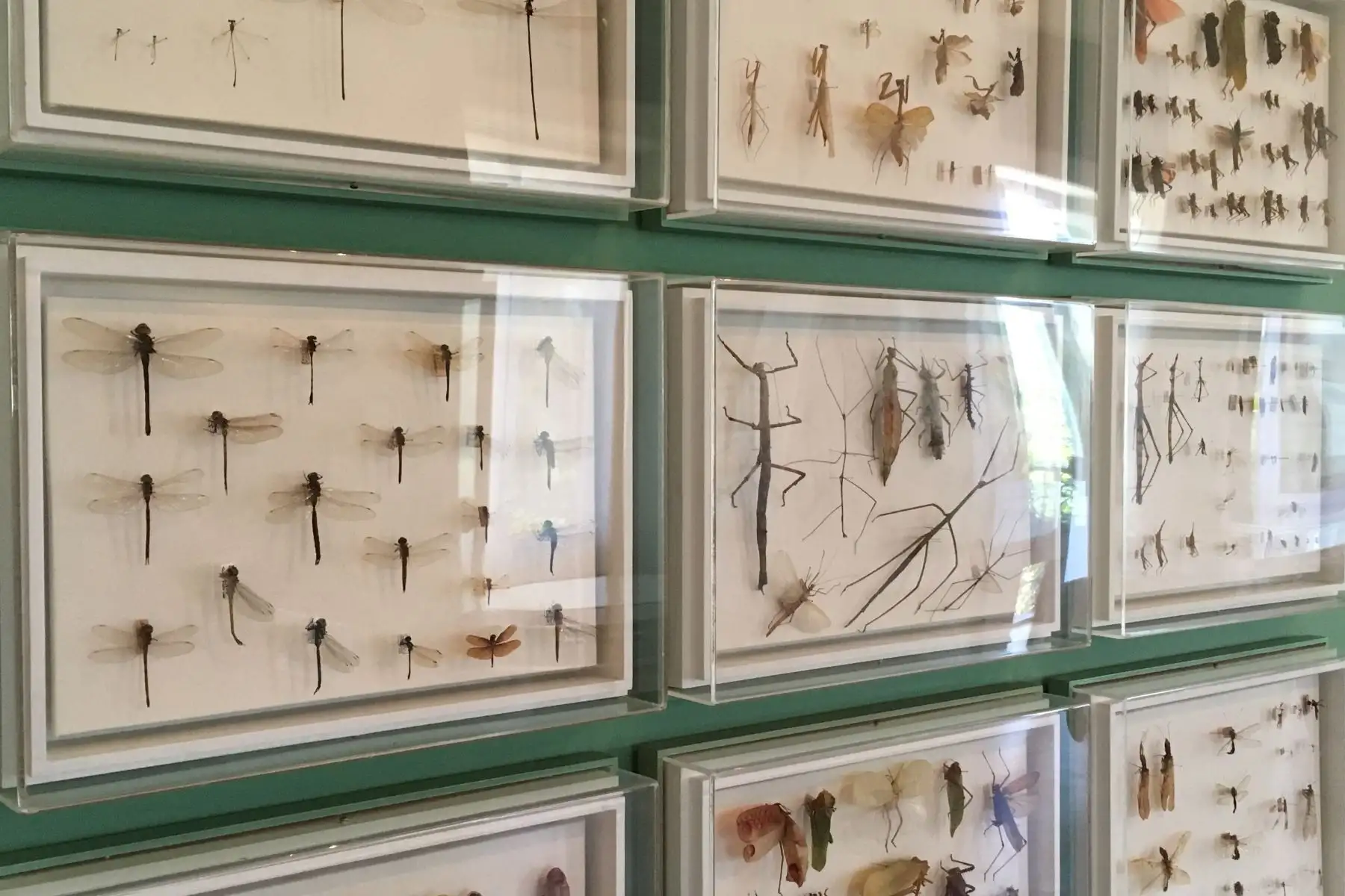 Vista de las pieza únicas en la exhibición en el Museo Nacional en Río de Janeiro, Brasil, el 9 de octubre de 2017.
Un incendio masivo el 2 de septiembre de 2018 destrozó el atesorado Museo Nacional de Río de Janeiro, uno de los más antiguos de Brasil, en lo que el presidente de la nación calificó como una "trágica" pérdida de conocimiento y patrimonio. Incluso antes de que las brasas empezaran a enfriarse la madrugada del lunes, el dolor por la gran pérdida cultural había dado paso a la ira por los recortes presupuestarios generales que amenazaban el patrimonio multicultural de Brasil. / AFP