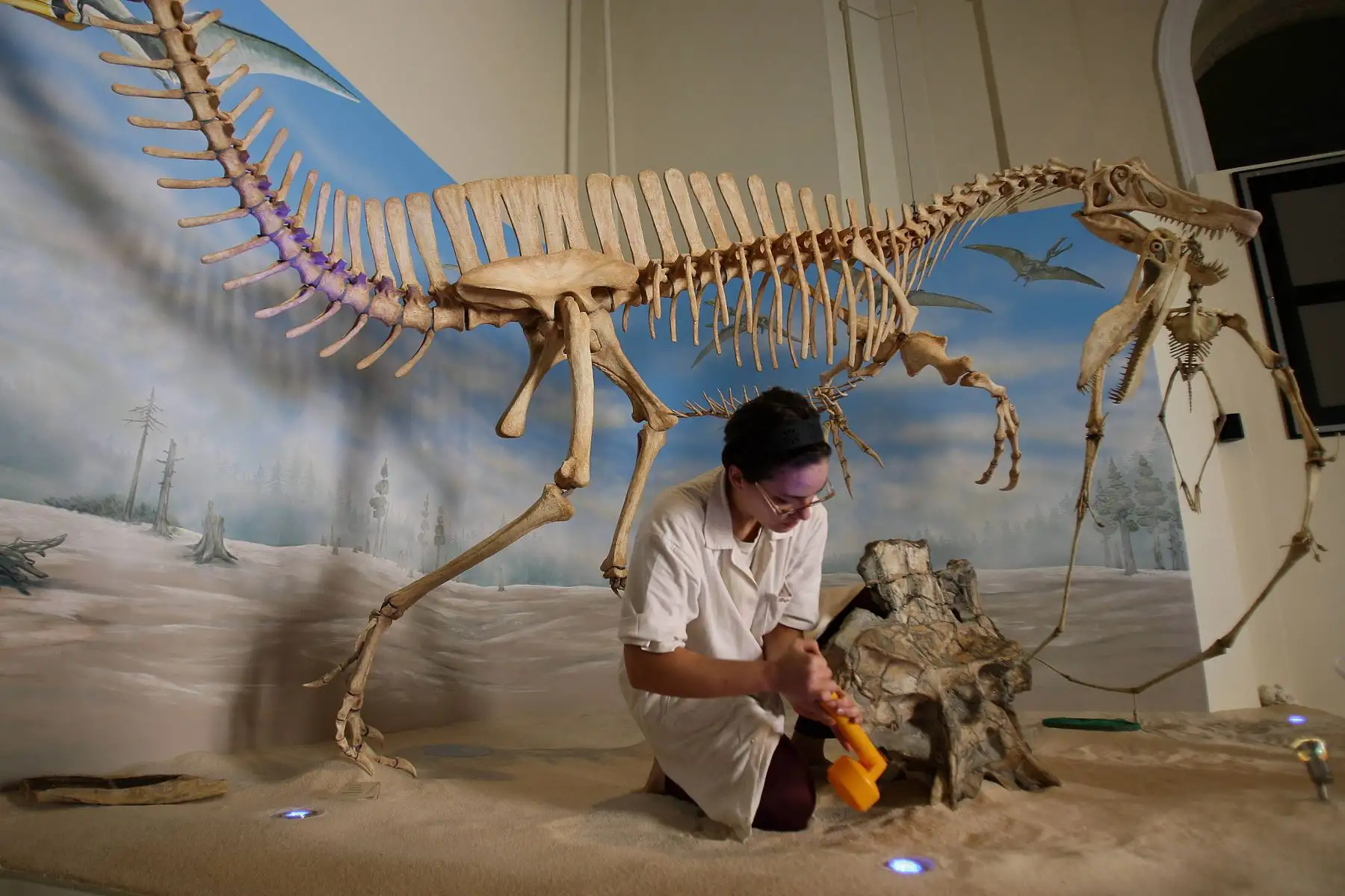 En esta foto de archivo tomada el 14 de mayo de 2009, un paleontólogo trabaja sobre el esqueleto de un Angaturama limai -un dinosaurio spinosaurus- que porta el esqueleto de un pterosaurio anhanguerida, en el Museo Nacional de Historia de Río de Janeiro, Brasil.
Un fuego masivo arrancó el 2 de septiembre de 2018 a través del atesorado Museo Nacional de Río de Janeiro, uno de los más antiguos de Brasil, en lo que el presidente de la nación dice es una pérdida "trágica" de conocimiento y herencia. La colección del museo incluyó arte y artefactos de la época greco-romana y Egipto, así como el fósil humano más antiguo encontrado en las fronteras brasileñas de hoy, conocido como "Luzia". / AFP