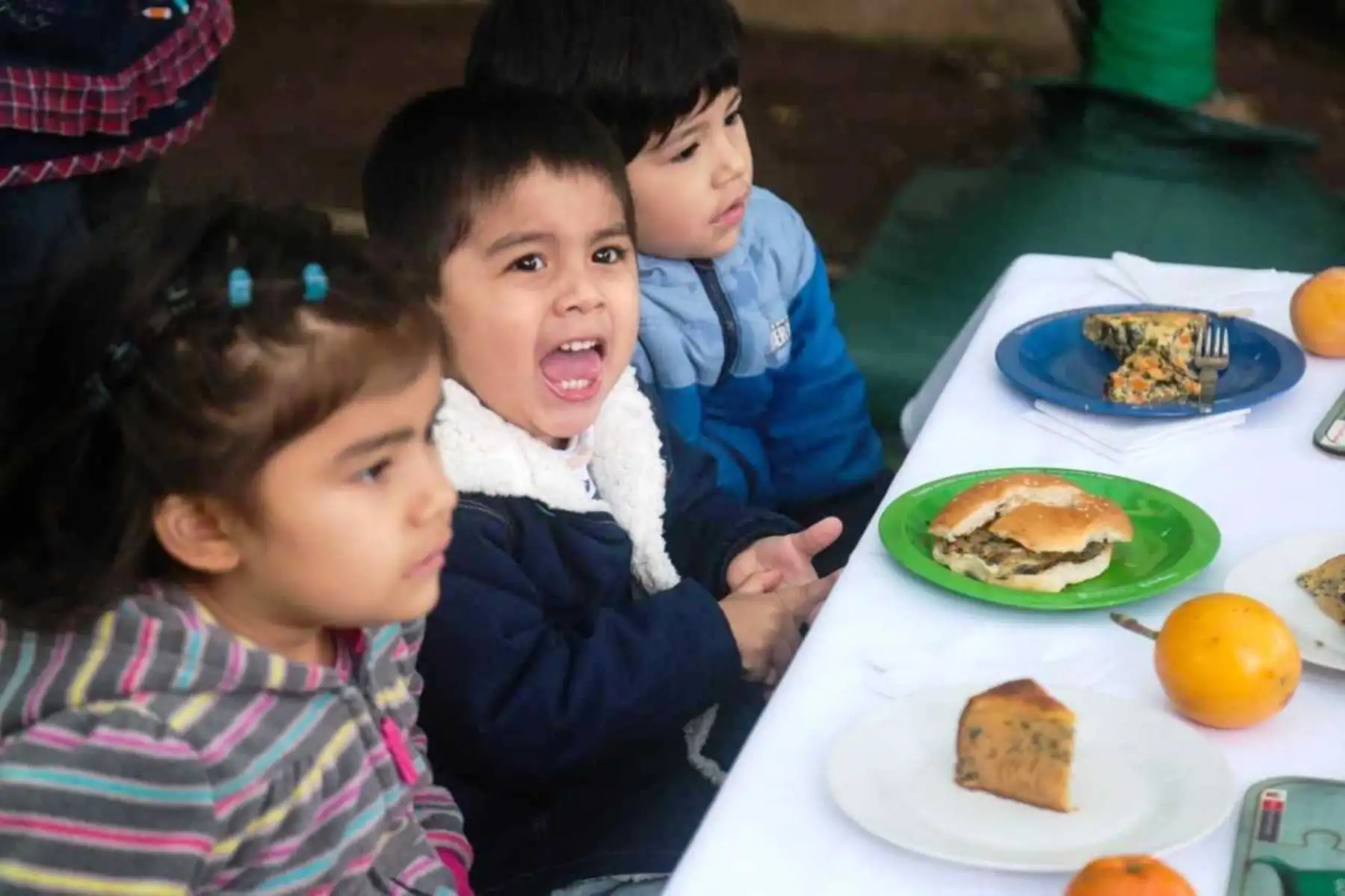 Siete alternativas de loncheras antianemia que sus hijos pueden llevar al colegio. Foto: ANDINA/Difusión.