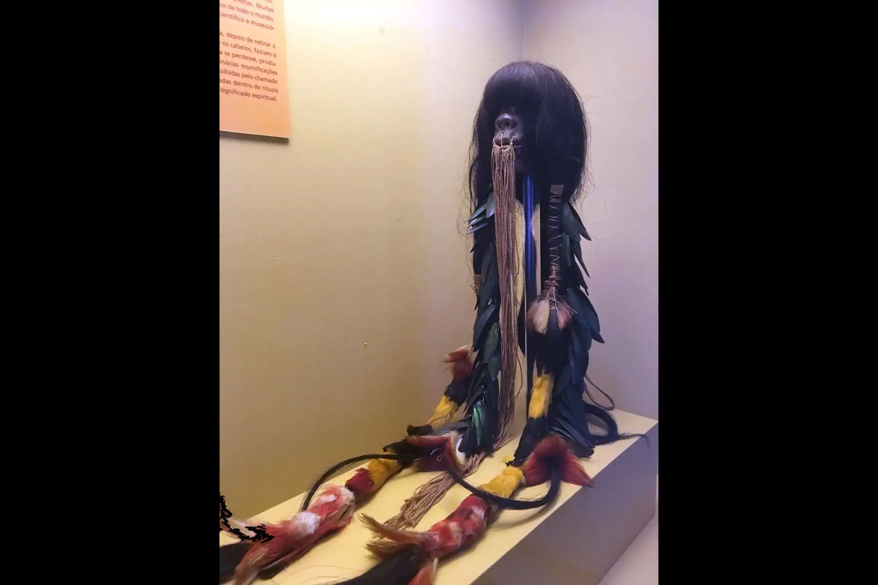 Vista de las pieza únicas en la exhibición en el Museo Nacional en Río de Janeiro, Brasil, el 9 de octubre de 2017.
Un incendio masivo el 2 de septiembre de 2018 destrozó el atesorado Museo Nacional de Río de Janeiro, uno de los más antiguos de Brasil, en lo que el presidente de la nación calificó como una "trágica" pérdida de conocimiento y patrimonio. Incluso antes de que las brasas empezaran a enfriarse la madrugada del lunes, el dolor por la gran pérdida cultural había dado paso a la ira por los recort