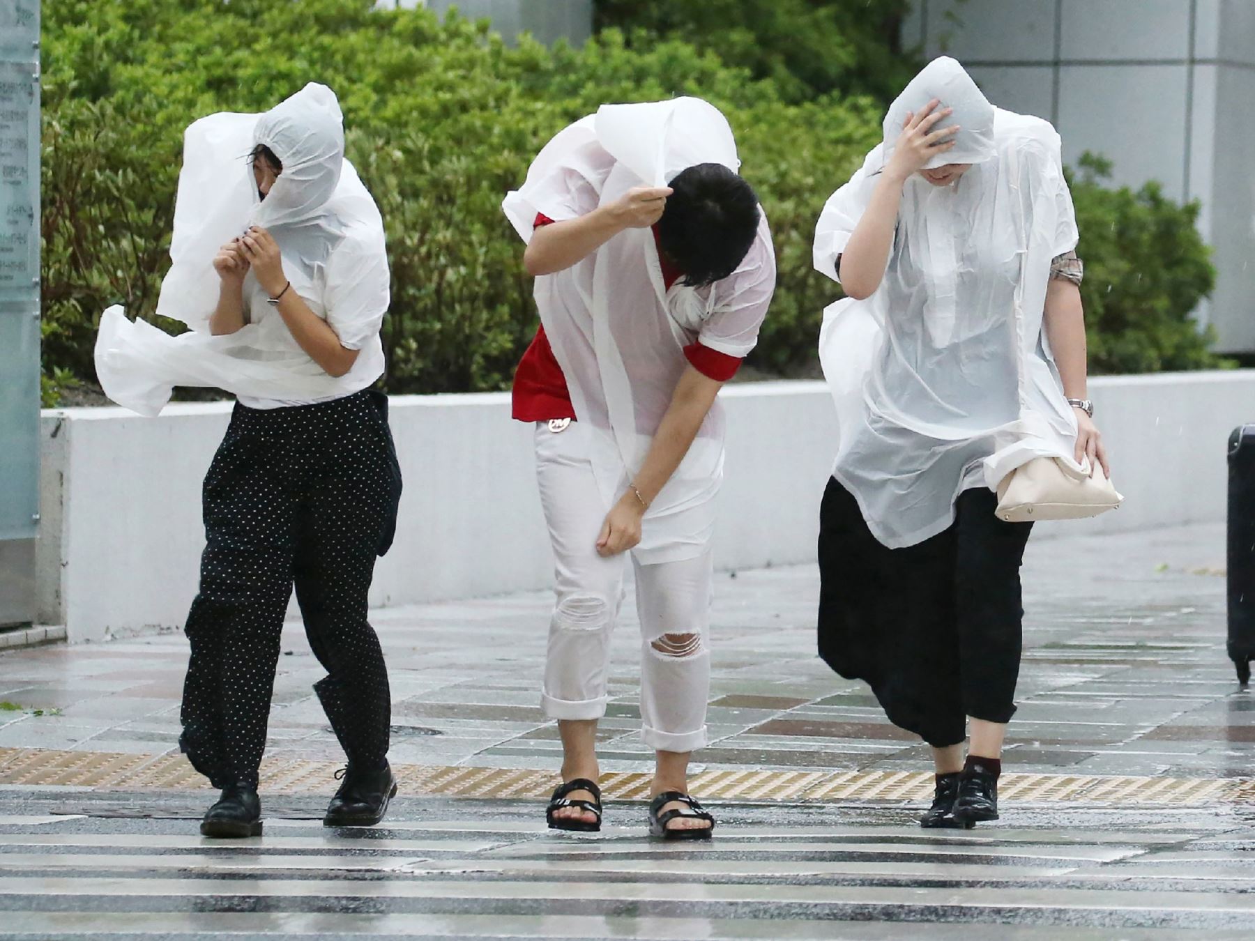 La gente camina contra los fuertes vientos en Nagoya debido al tifón Jebi. Foto: AFP.
