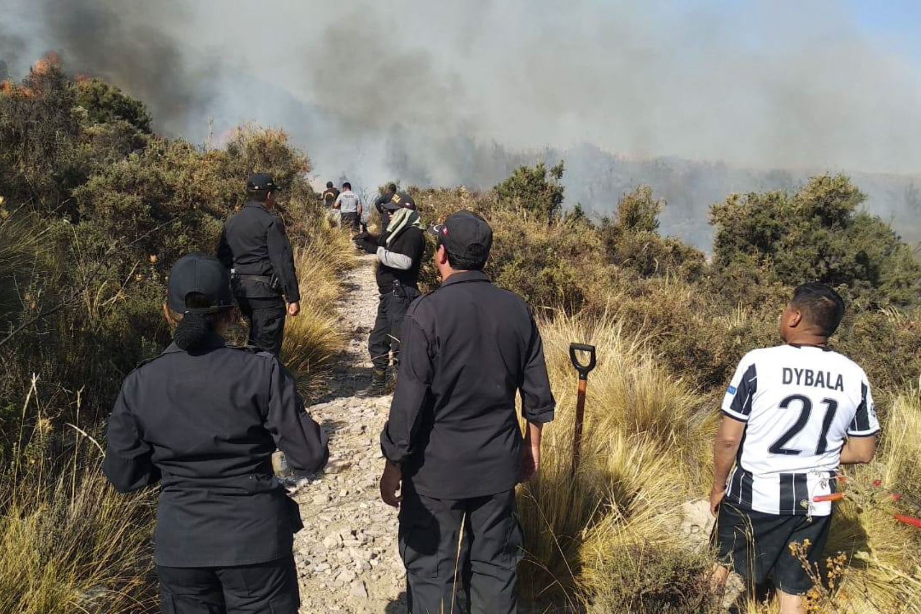 Incendio forestal afecta pastizales y otras áreas naturales de Arequipa. ANDINA/Difusión