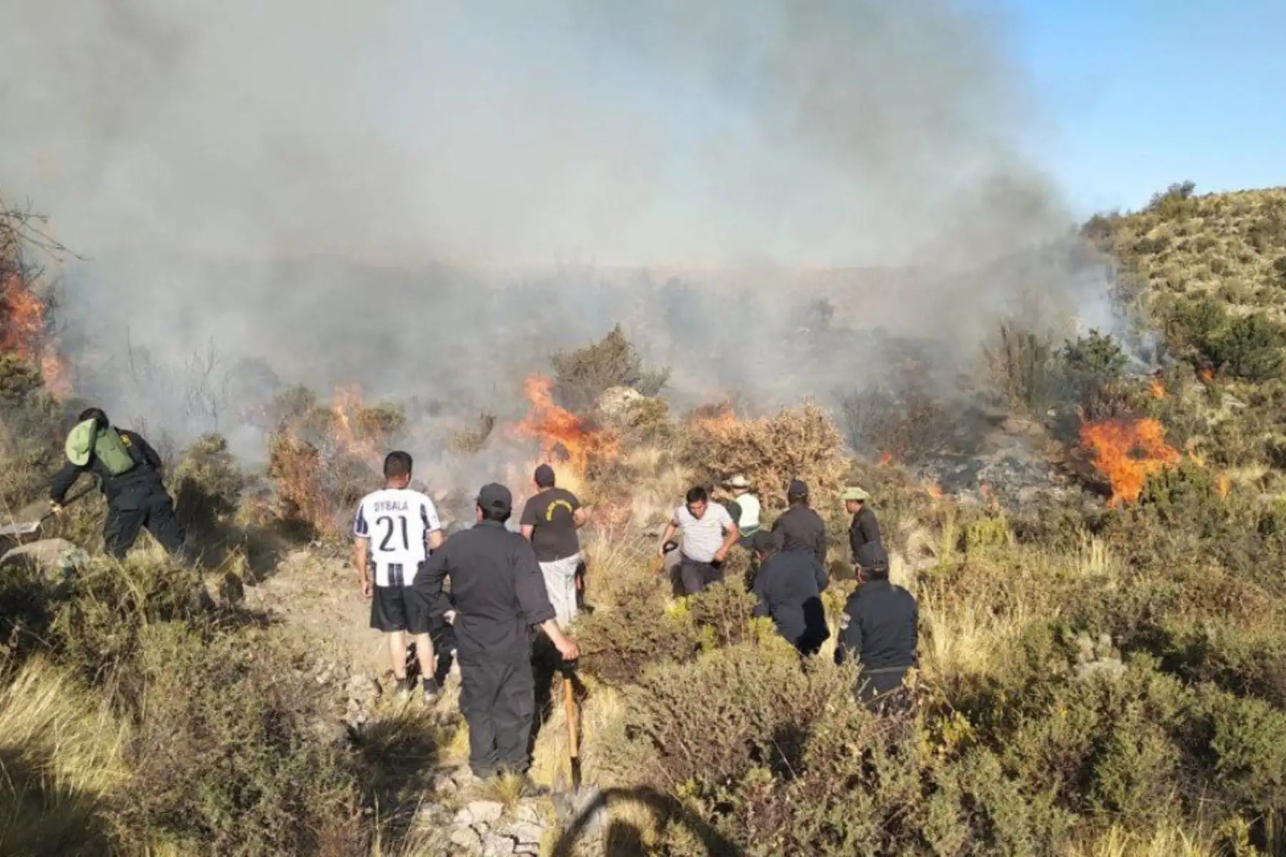 Incendio forestal afecta a 11 hectáreas de zonas forestales en zonas de Agua Buena, Totorani y Pichu Picchu, en Arequipa; y Talamolle, en Moquegua. Foto: ANDINA/Mindef