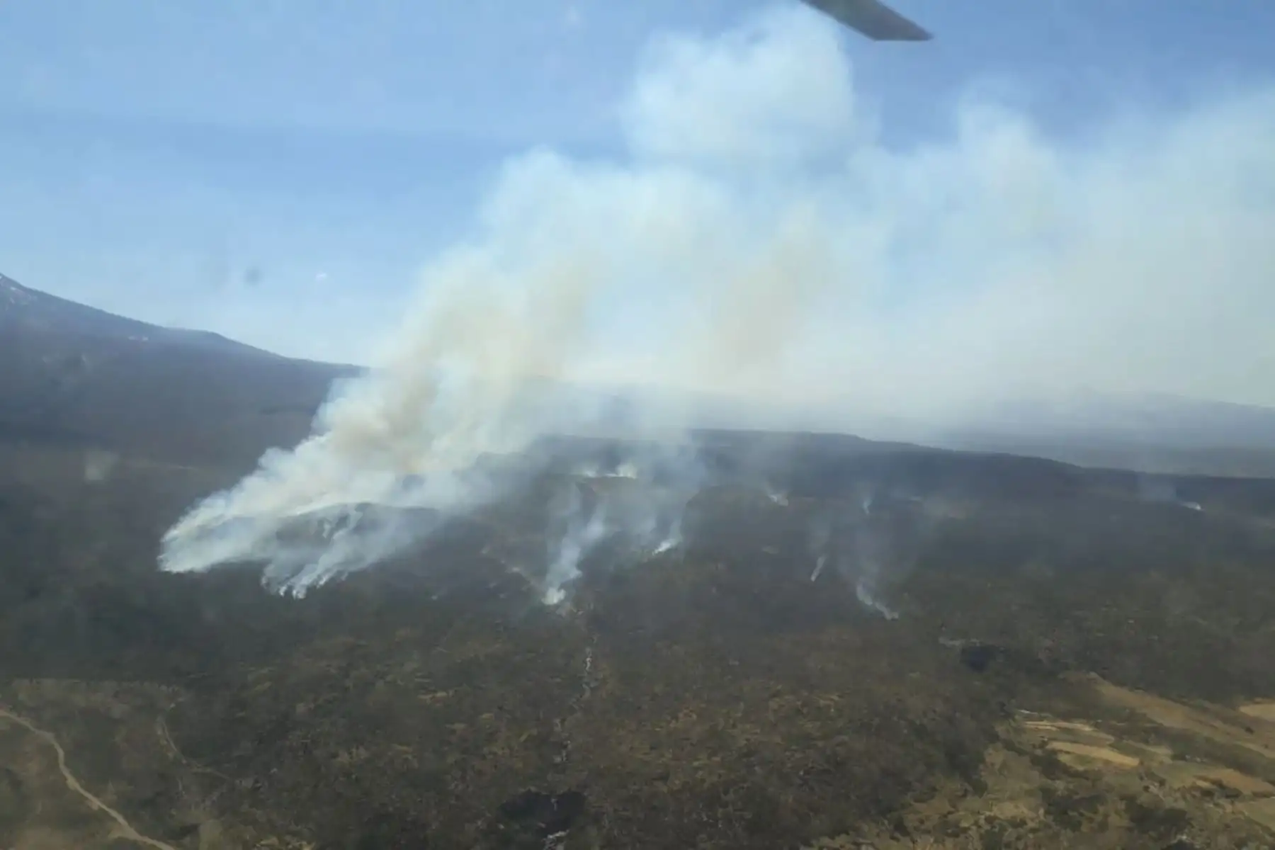 Incendio forestal afecta a 11 hectáreas de zonas forestales en zonas de Agua Buena, Totorani y Pichu Picchu, en Arequipa; y Talamolle, en Moquegua. Foto: ANDINA/Mindef