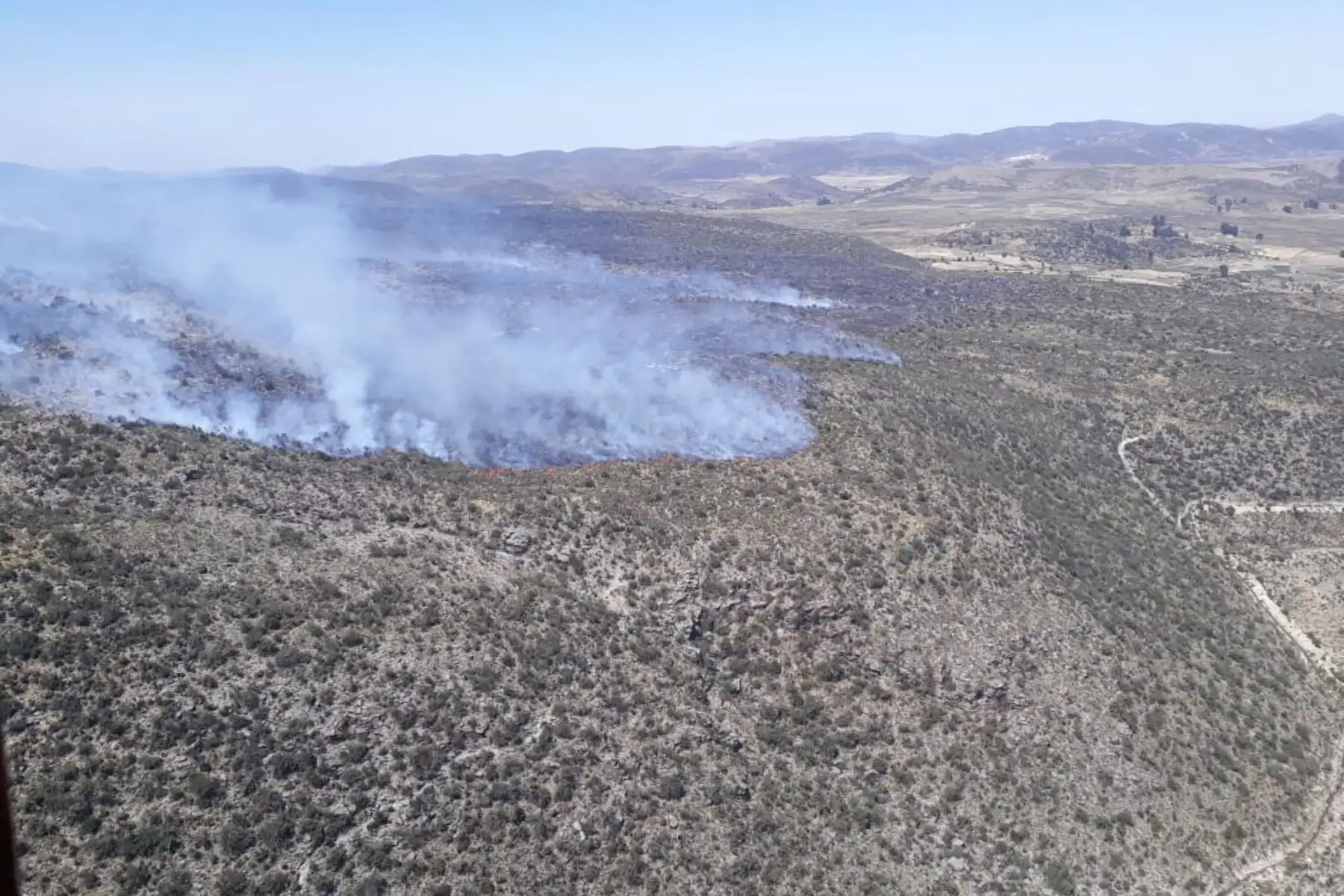 Incendio forestal afecta a 11 hectáreas de zonas forestales en zonas de Agua Buena, Totorani y Pichu Picchu, en Arequipa; y Talamolle, en Moquegua. Foto: ANDINA/Mindef
