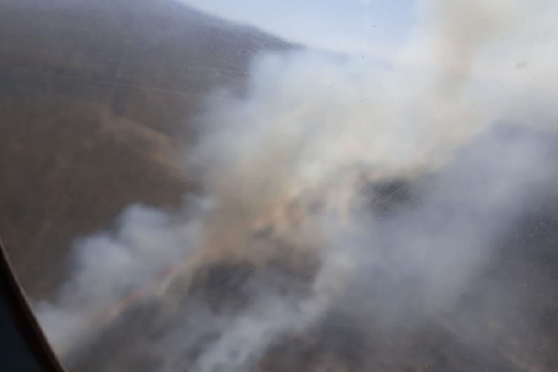 Al menos 1,000 hectáreas de pastos naturales fueron consumidos por el fuego en el distrito de Polobaya, región Arequipa, donde se registra un incendio forestal desde ayer, informó Luis Felipe Gonzales, administrador técnico forestal y de fauna silvestre.