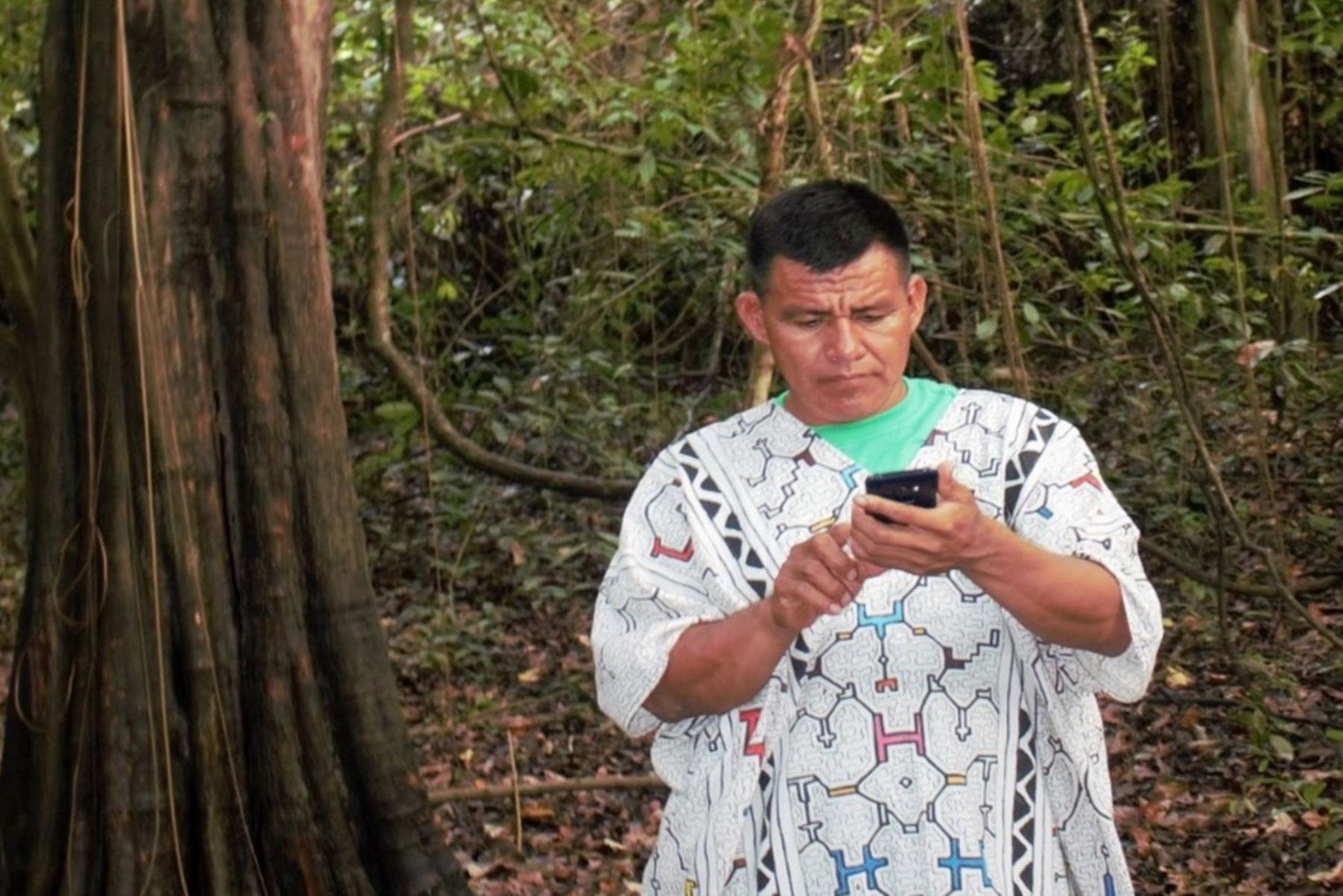 Premian uso de celulares para alerta temprana de deforestación de bosques. ANDINA/Difusión