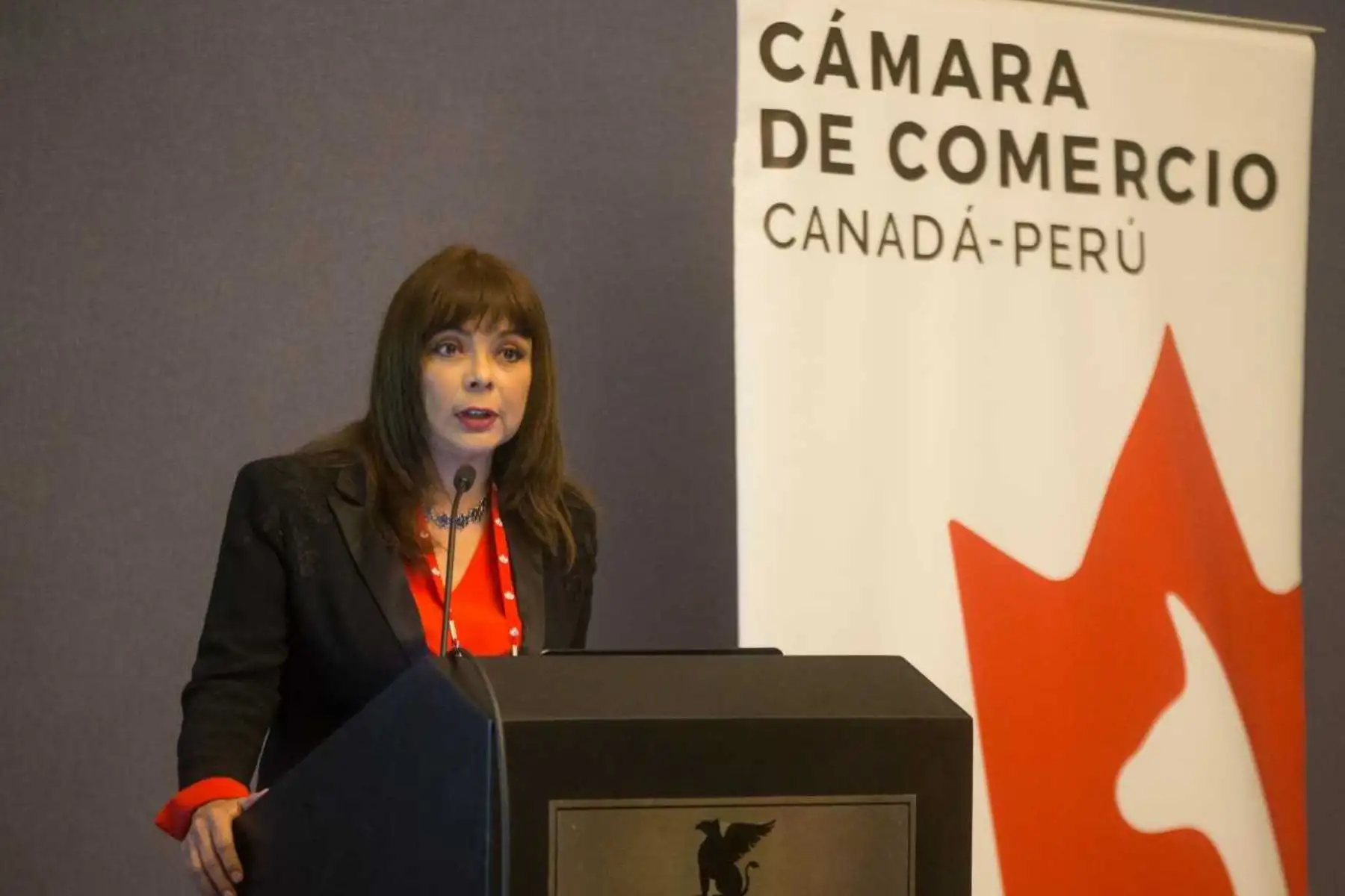 La ministra de Desarrollo e Inclusión Social, Liliana La Rosa, sostuvo que el Estado y la empresa privada deben trabajar en coordinación para la disminución de la pobreza y la pobreza extrema en el país, por lo que invitó a los empresarios a evaluar y revisar los estudios de los proyectos de inversión del sector a su cargo para ser financiados en la modalidad de Obras por Impuestos.