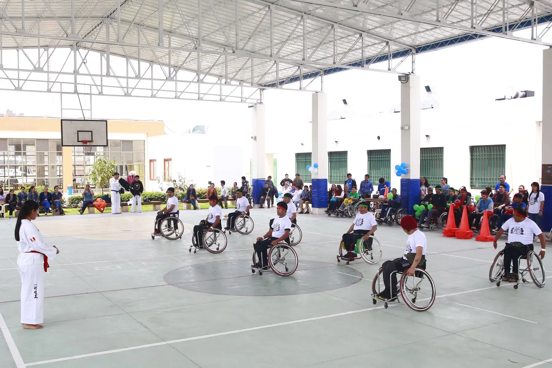 En el Día internacional de la Lesión Medular , el Instituto Nacional de Rehabilitación " Dra.Adriana Rebaza Flores " Amistad Perú - Japón, realiza actividades lúdicas y  deportivas. Foto: ANDINA/Eddy Ramos