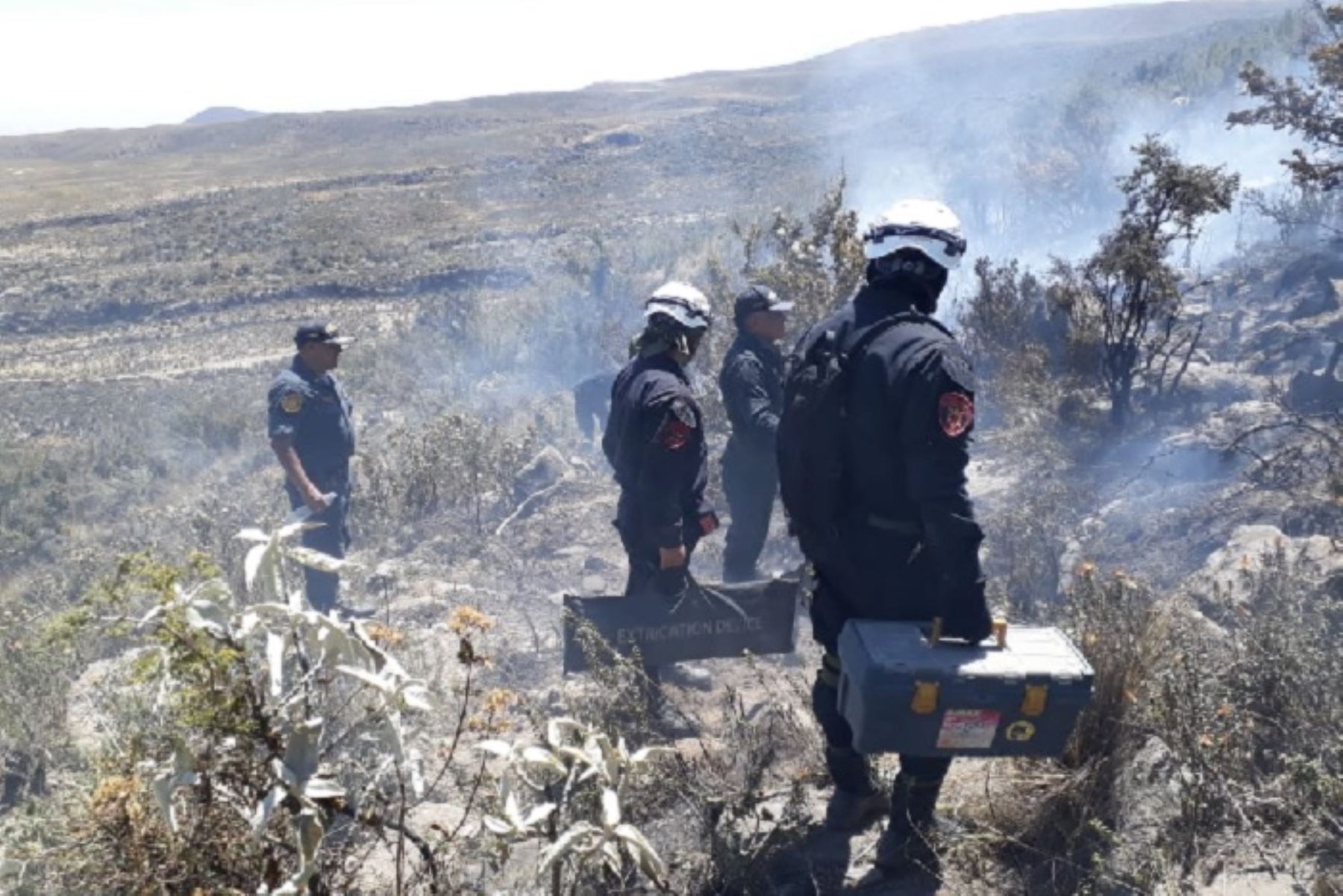 En un 99 por ciento fue sofocado el incendio forestal que se registra desde el lunes en el distrito de Polobaya, en la provincia y región Arequipa, tras denodados esfuerzos realizados vía terrestre y aérea por personal de la Policía Nacional, Ejército, Fuerza Aérea y pobladores de la zona.