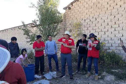 Qali Warma implementa huertos escolares en Junín para sembrar hortalizas orgánicas. ANDINA