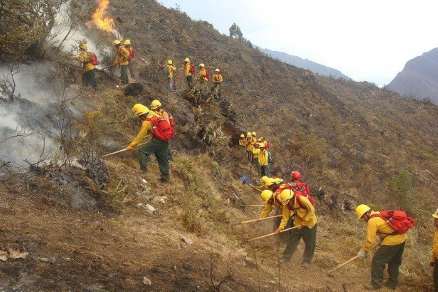 Controlan incendio forestal en Arequipa y buscan evitar que se reavive fuego.