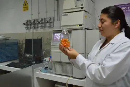 Lanzan Reto Bio 2019 para proyectos innovadores que pongan en valor los recursos naturales.Foto:  ANDINA/Difusión