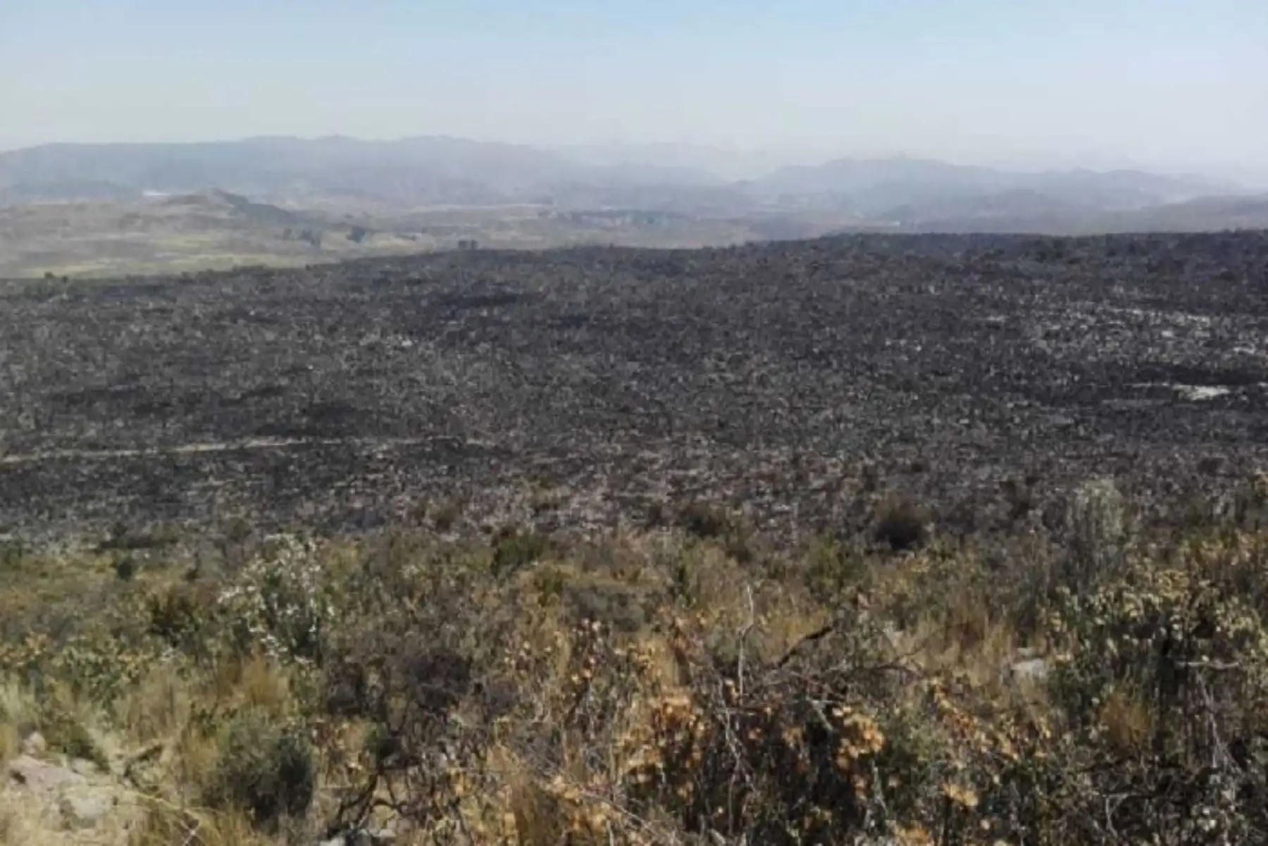 Alrededor de 2,000 hectáreas de cobertura natural vegetal dañó en Arequipa y Moquegua el incendio forestal que se logró controlar luego de 4 días de denodados esfuerzos por parte de las distintas instituciones del Estado, autoridades y pobladores, informó el Ministerio de Agricultura y Riego (Minagri).