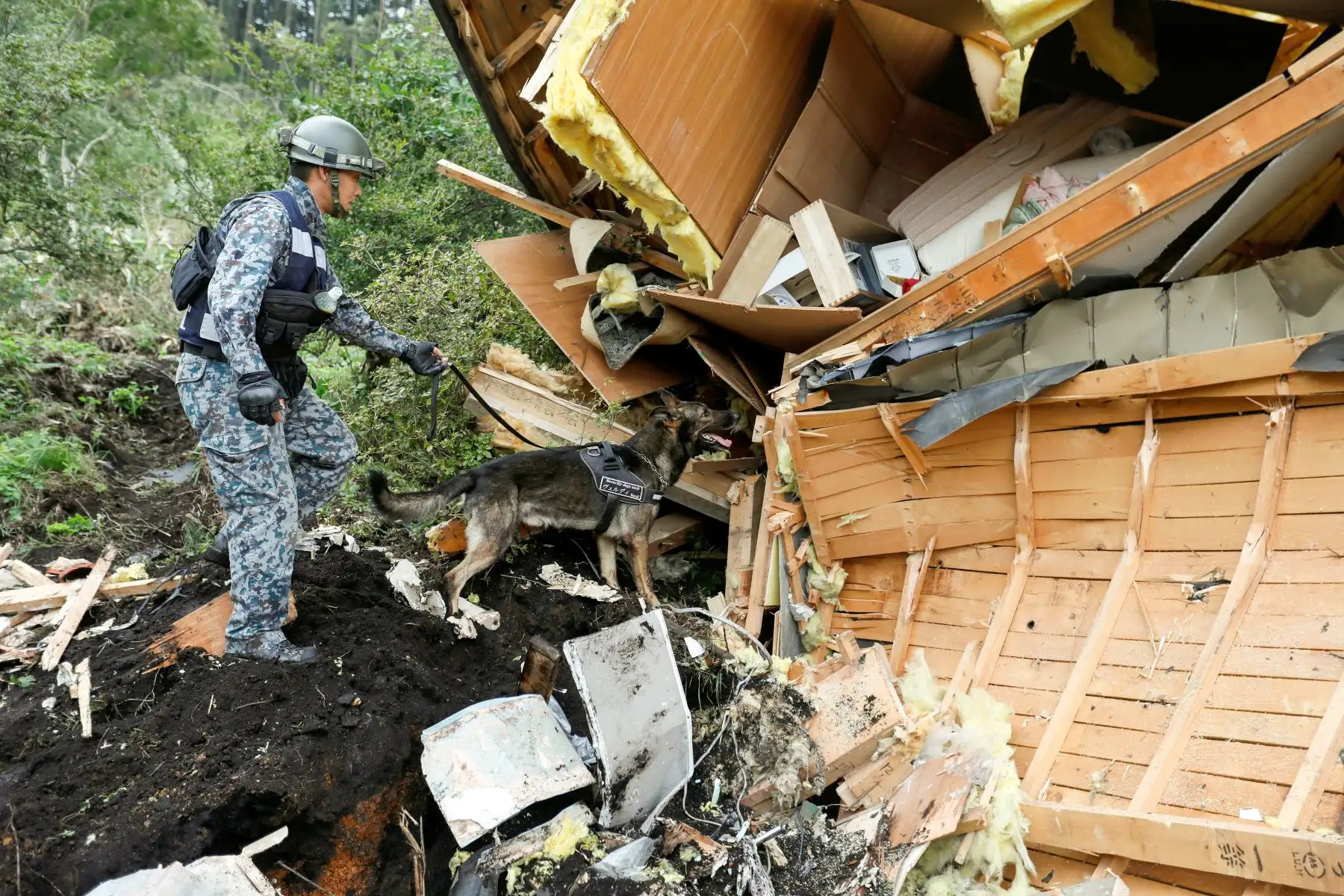 Un soldado de las Fuerzas de Autodefensa de Japón y su perro rastreador busca desaparecidos entre los escombros de una casa destruida por el alud causado por el terremoto de magnitud 6,7 en la escala de Richter que sacudió este jueves la isla nipona de Hokkaido (norte), en Atsuma, Japón, hoy, 7 de septiembre de 2018. Los muertos por el fuerte terremoto ascienden a 16 y 26 personas siguen desaparecidas, confirman que el primer ministro nipón, Shinzo Abe, mientras que m · s del 40% del suministro eléctrico de la ínsula ha sido restablecido. EFE