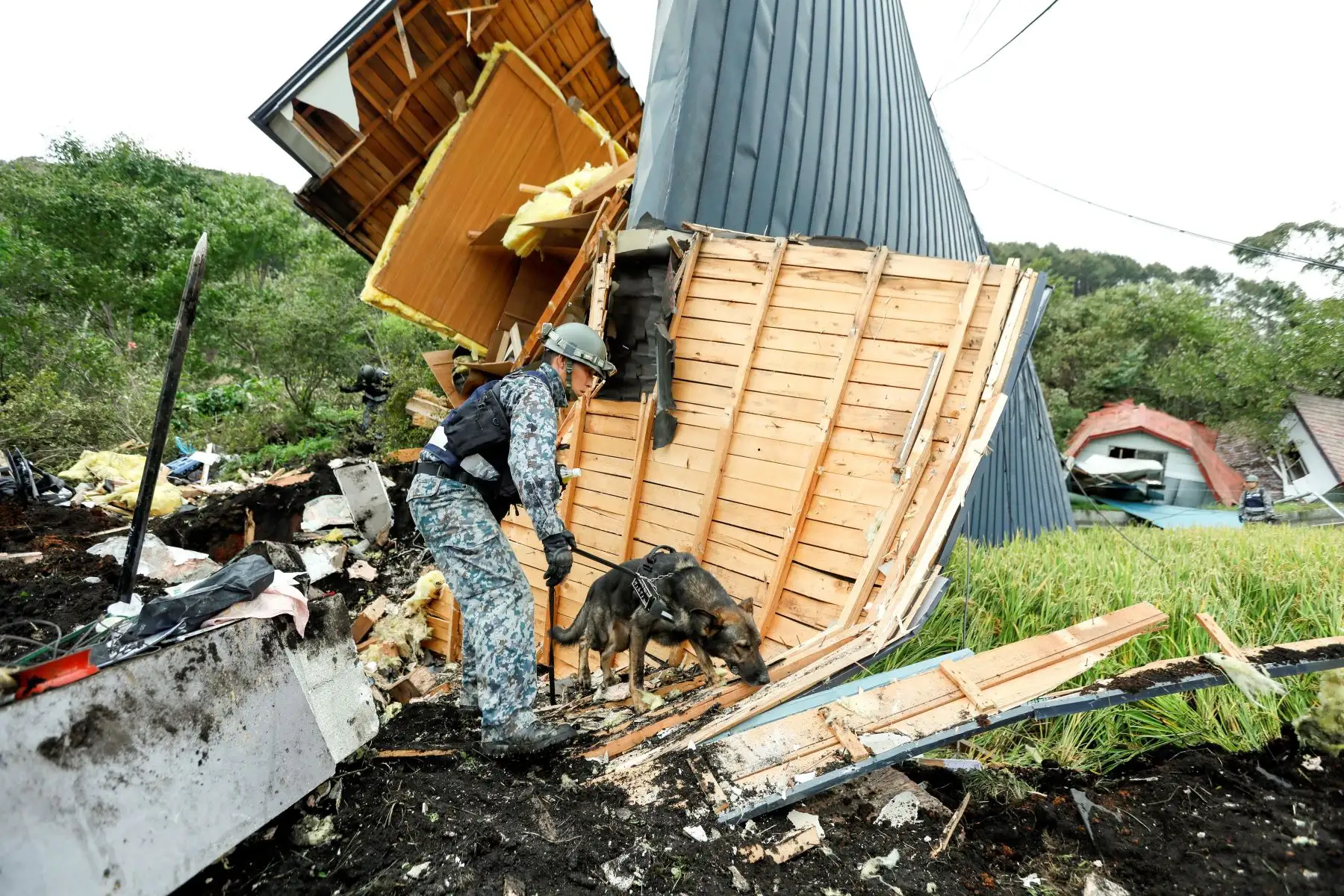 Un soldado de las Fuerzas de Autodefensa de Japón y su perro rastreador busca desaparecidos entre los escombros de una casa destruida por el alud causado por el terremoto de magnitud 6,7 en la escala de Richter que sacudió este jueves la isla nipona de Hokkaido (norte), en Atsuma, Japón, hoy, 7 de septiembre de 2018. Los muertos por el fuerte terremoto ascienden a 16 y 26 personas siguen desaparecidas, confirman que el primer ministro nipón, Shinzo Abe, mientras que m · s del 40% del suministro eléctrico de la ínsula ha sido restablecido. EFE