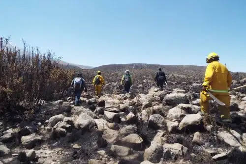 Al menos 70 personas, entre efectivos policiales y pobladores del distrito de Pocsi, ubicado en Arequipa, participan en labores de liquidación de posibles focos de fuego en la zona donde se registró el incendio forestal, que en la víspera fue sofocado con apoyo de la Fuerza Aérea del Perú (FAP). ANDINA/Difusión
