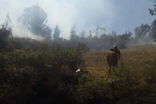 Un incendio forestal destruyó 10 hectáreas de plantaciones en el caserío de Uquía, centro poblado de Paria Wilcahuain, en el distrito de Independencia, región Áncash, reportó la Plataforma Distrital de Defensa Civil.