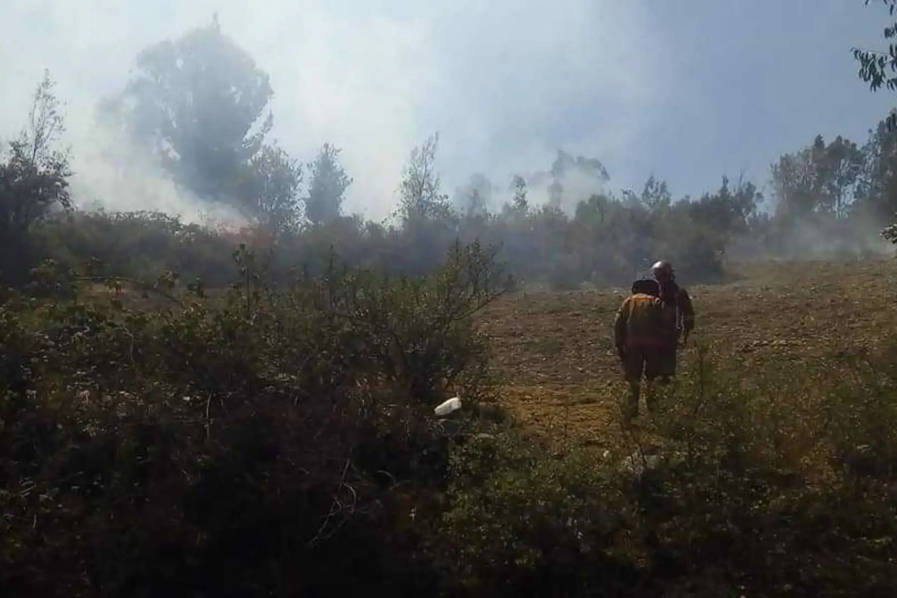 Un incendio forestal destruyó 10 hectáreas de plantaciones en el caserío de Uquía, centro poblado de Paria Wilcahuain, en el distrito de Independencia, región Áncash, reportó la Plataforma Distrital de Defensa Civil.