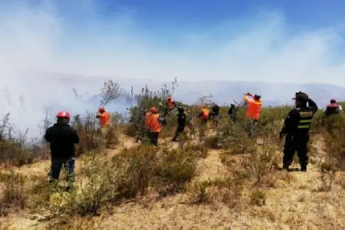 Personal de bomberos y de la municipalidad provincial de Santa lograron extinguir el incendio forestal que se inició el jueves y afectó el vivero municipal del distrito de Chimbote, informó el Instituto Nacional de Defensa Civil (Indeci). ANDINA/Difusión