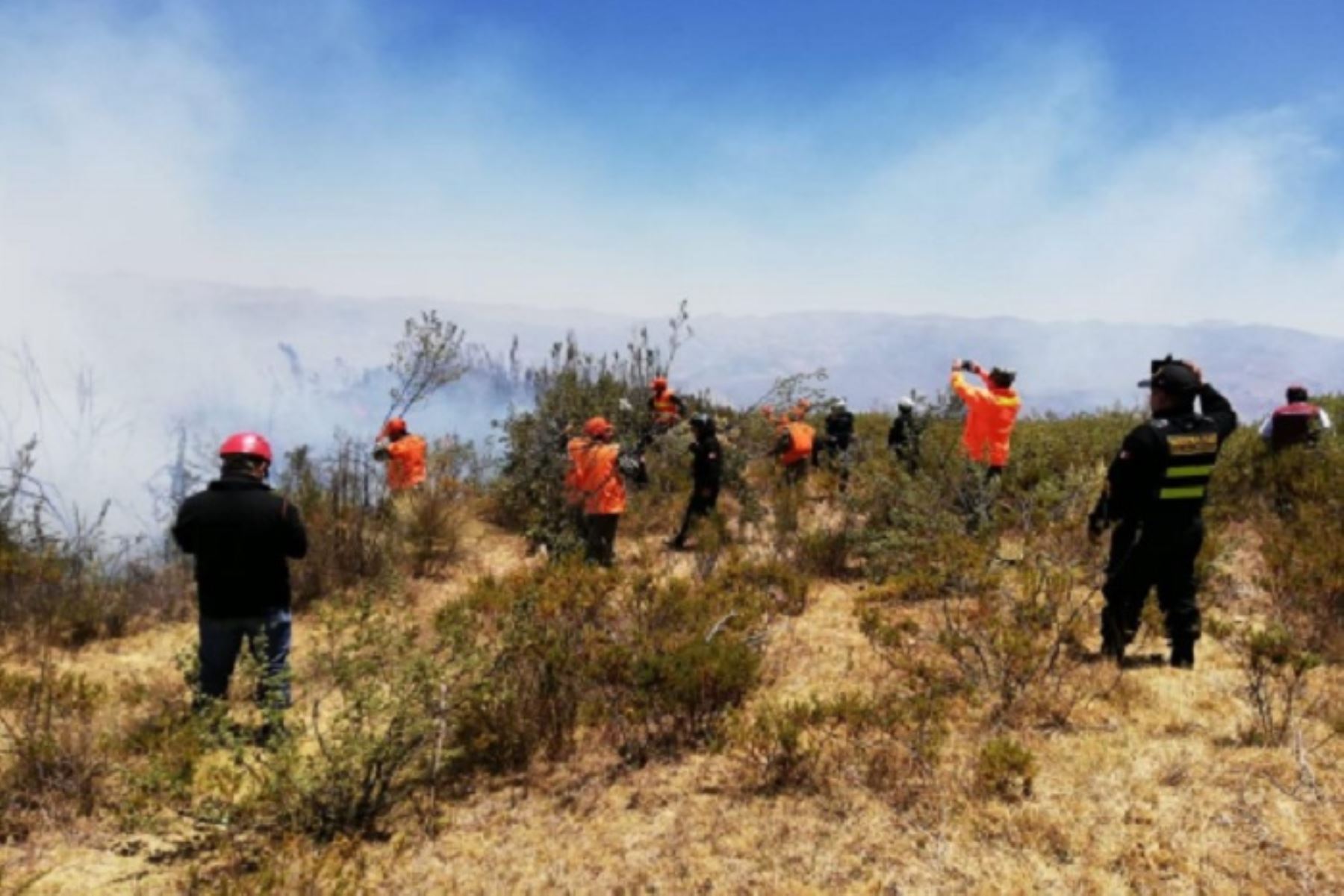 Personal de bomberos y de la municipalidad provincial de Santa lograron extinguir el incendio forestal que se inició el jueves y afectó el vivero municipal del distrito de Chimbote, informó el Instituto Nacional de Defensa Civil (Indeci). ANDINA/Difusión