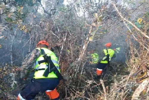 Personal del Ejército trabaja desde la madrugada en las labores de extinción del incendio forestal que anoche se reavivó cerca de la zona arqueológica de Kuélap, en el distrito de Tingo, provincia de Luya, región Amazonas, informó dicha institución al Centro de Operaciones de Emergencia Nacional (COEN) del Ministerio de Defensa.