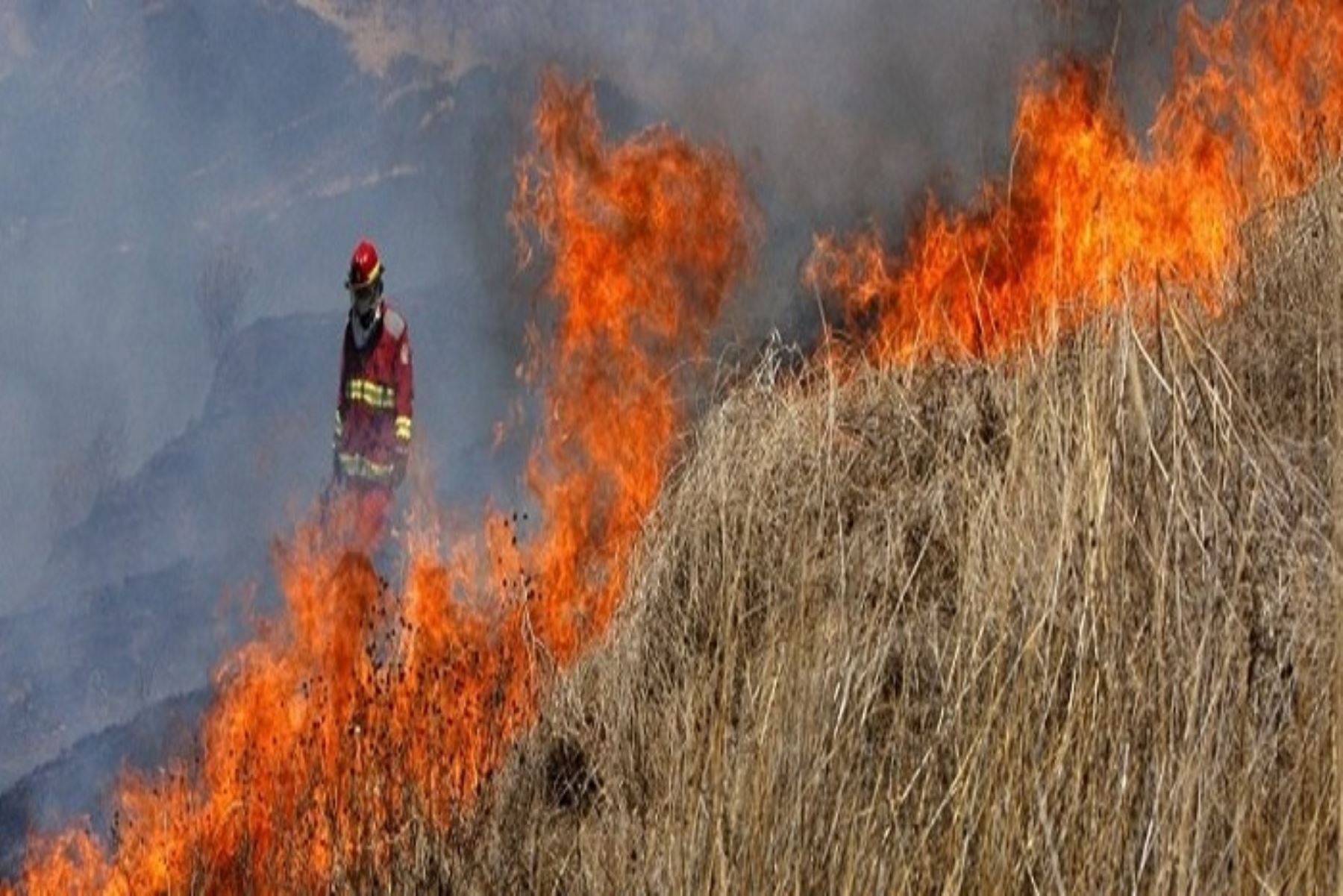 El Instituto Nacional de Defensa Civil (Indeci) confirmó que hasta el momento durante el año 2018 se han registrado 38 incendios forestales en diversas regiones del país como Arequipa, Pasco, Amazonas, Lambayeque y Puno, entre otras.