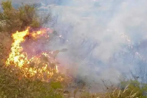 Alrededor de 15 hectáreas de pastizales quedaron reducidas a cenizas, producto de un incendio forestal reportado la tarde de ayer en el distrito de Huantar, provincia de Huari, en la región Áncash.