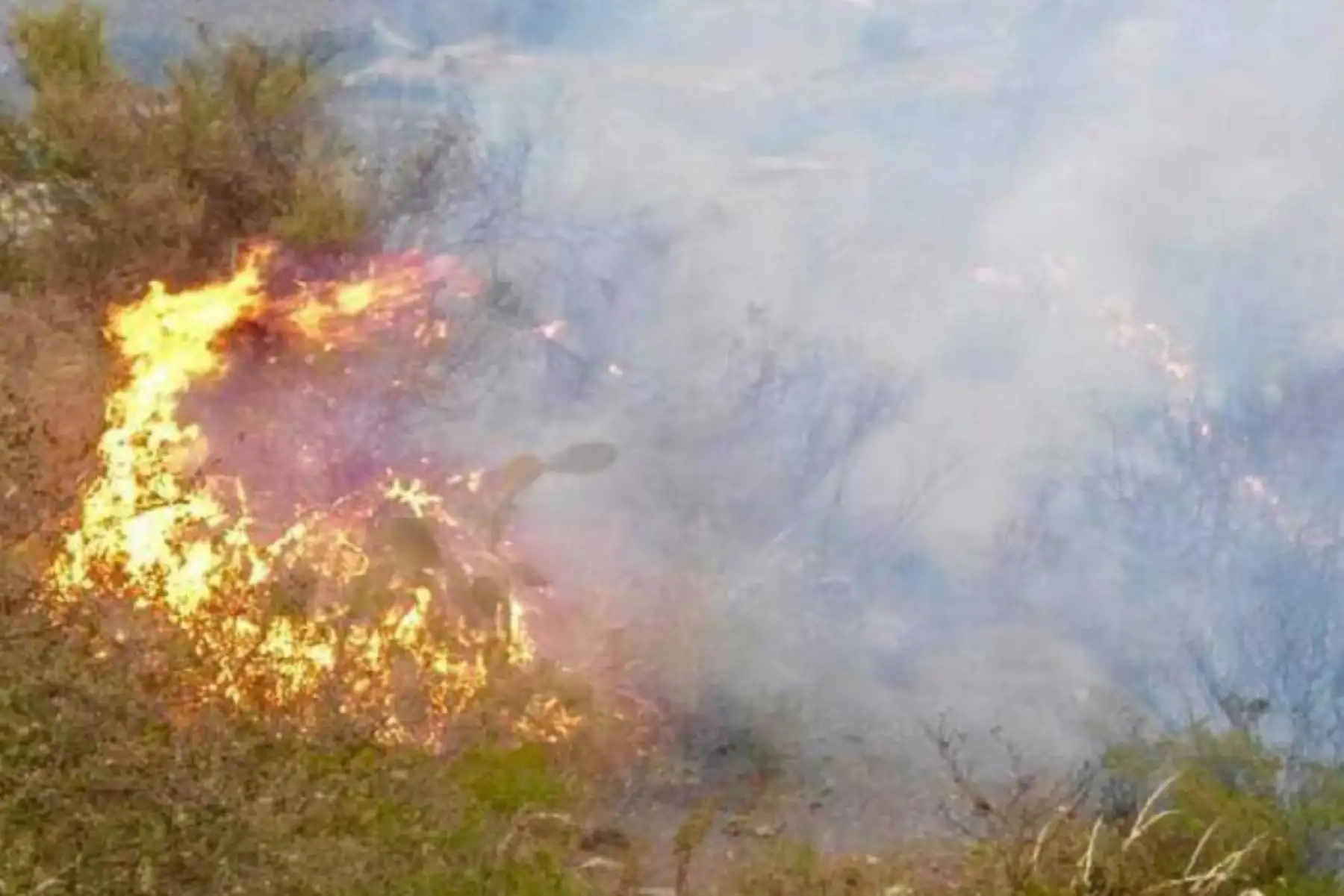 Alrededor de 15 hectáreas de pastizales quedaron reducidas a cenizas, producto de un incendio forestal reportado la tarde de ayer en el distrito de Huantar, provincia de Huari, en la región Áncash.