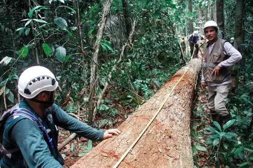 ANDINA/Difusión