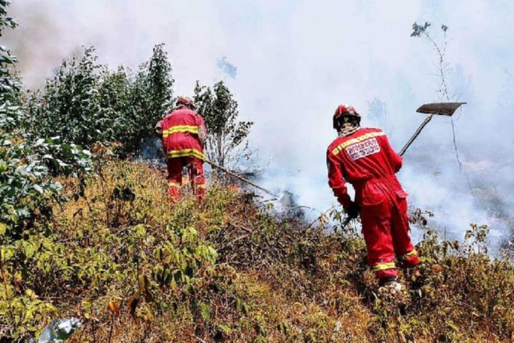 Un total de 12 incendios forestales se registraron en los últimos días en la región Cajamarca, de los cuales 5 se mantienen activos y vienen siendo sofocados con intervención de los bomberos. Cerca de 1,000 hectáreas naturales son arrasadas por el fuego, la mayoría pastizales.