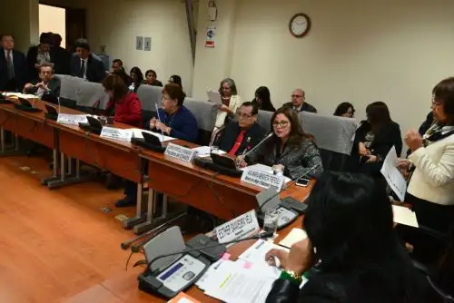 Ministra expuso en Congreso sobre política a favor de personas con discapacidad. Foto: Difusión