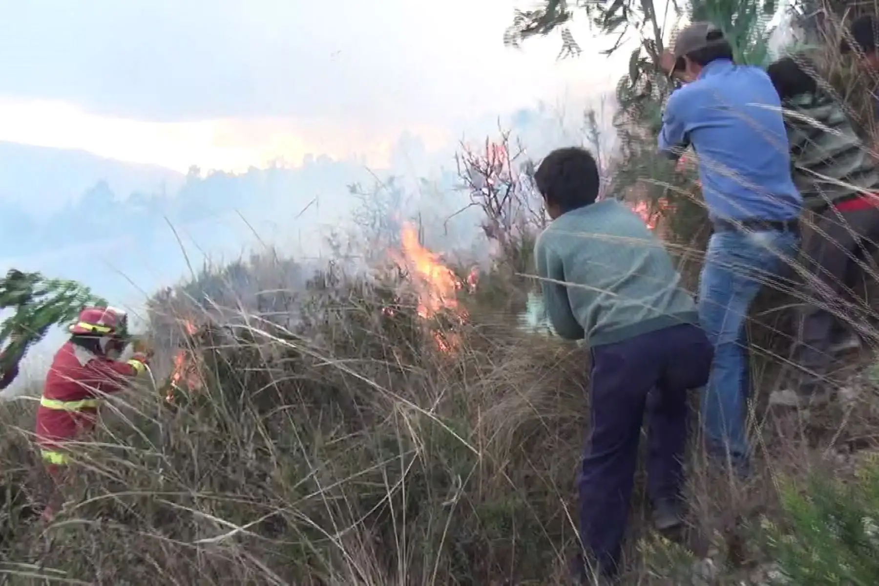 Extinguen incendios forestales en regiones Amazonas y Tumbes. ANDINA/Archivo
