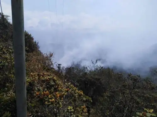 Dos incendios forestales ocurridos en la región Amazonas fueron ser extinguidos sin dejar daños personales, informó el Instituto Nacional de Defensa Civil (Indeci) al Centro de Operaciones de Emergencia Nacional (COEN). ANDINA/Difusión