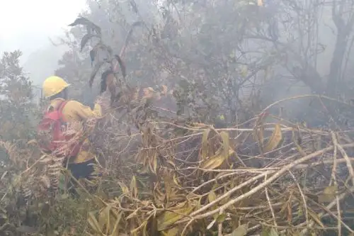Incendio forestal en el Santuario Histórico de Machu Picchu, región Cusco.