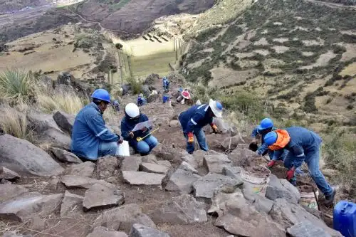 Ponen en valor tramo de dos kilómetros del Camino Inca por donde nuestros antepasados trasladaban productos agrícolas cultivados en los andenes del parque arqueológico de Tipón, región Cusco.