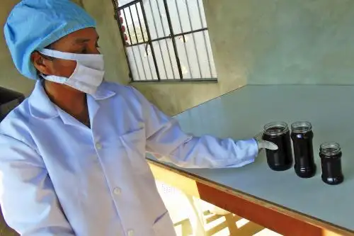 Comunidad de Piura impulsará producción de algarrobina orgánica. ANDINA/Difusión