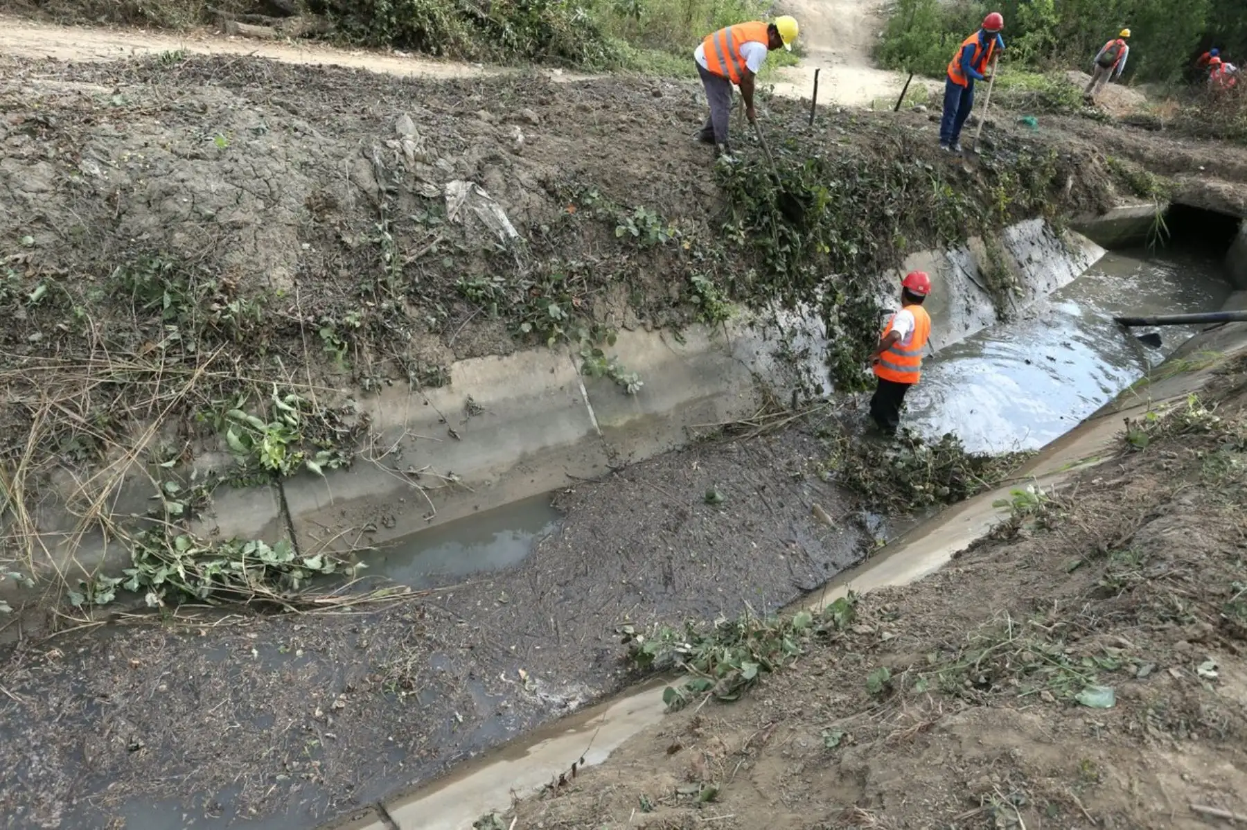 Presidente de la República, Martin Vizcarra, junto al ministro Gustavo Mostajo supervisa la limpieza y descolmatación de canales de riego ubicados en las márgenes del río Tumbes realizadas en el marco de las acciones de prevención de la Reconstrucción con Cambios. Foto: ANDINA/Minagri