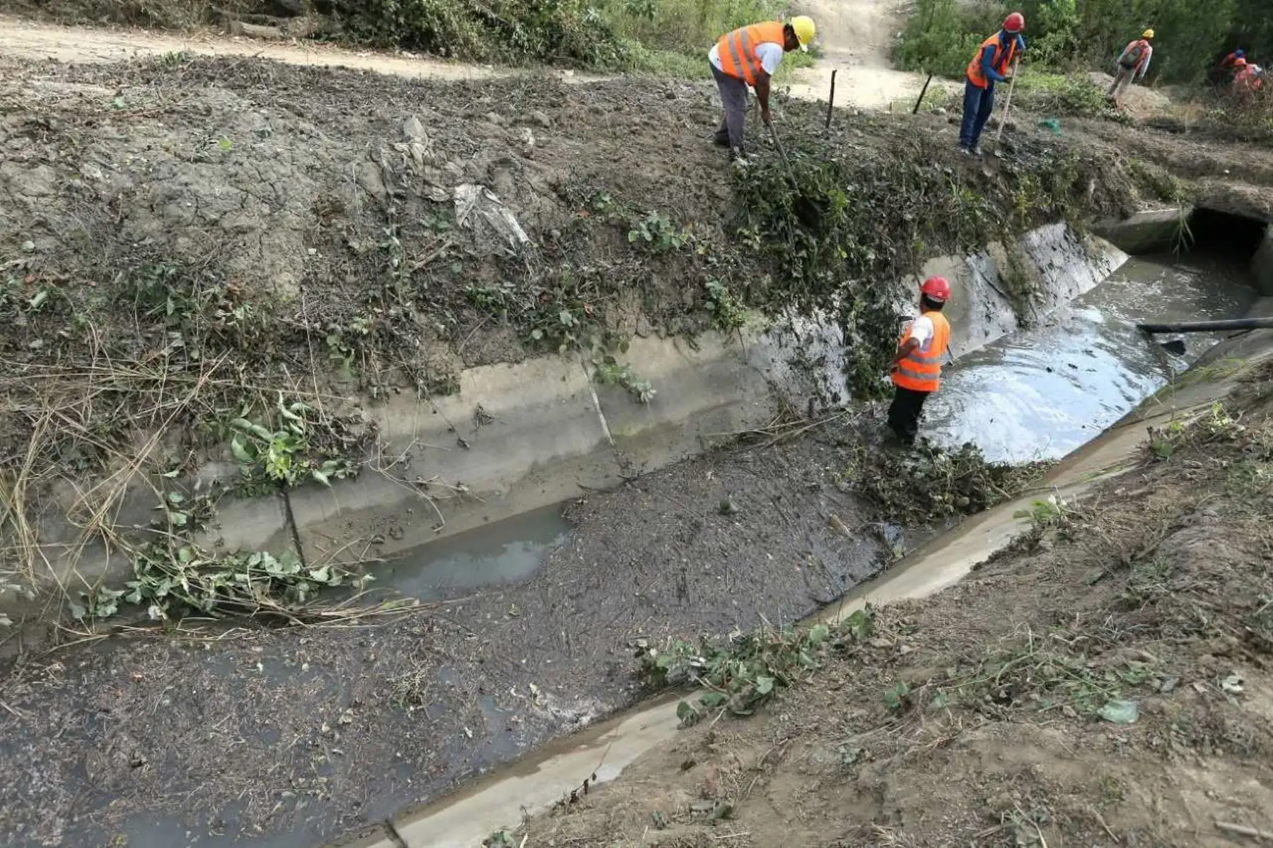 La contaminación del Río Tumbes a consecuencia de las actividades mineras en la parte alta de la cuenca, será incluida en la agenda en la próxima reunión del gabinete binacional Perú-Ecuador, informó el ministro de Agricultura Riego, Gustavo Mostajo.