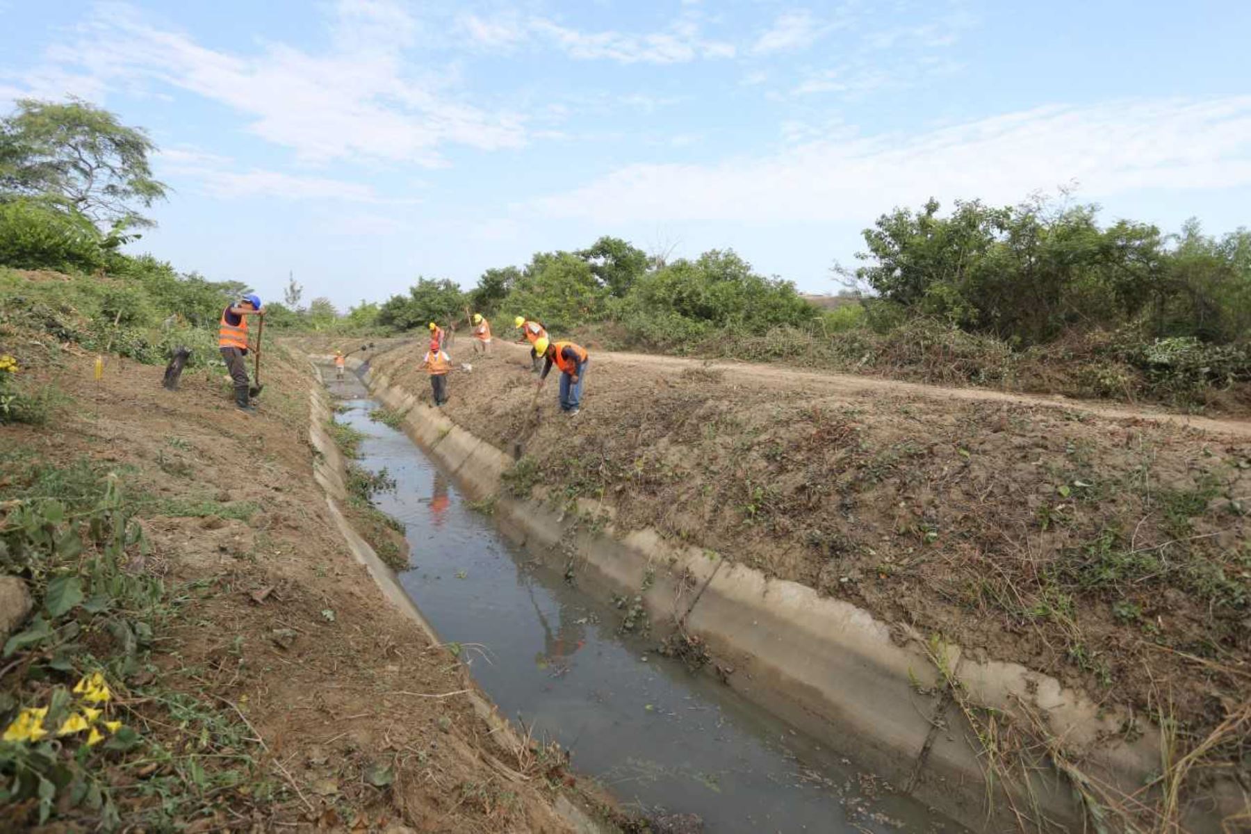 Hay un aproximado de 9,000 agricultores tumbecinos perjudicados por la contaminación del río Tumbes. Foto: ANDINA/difusión.
