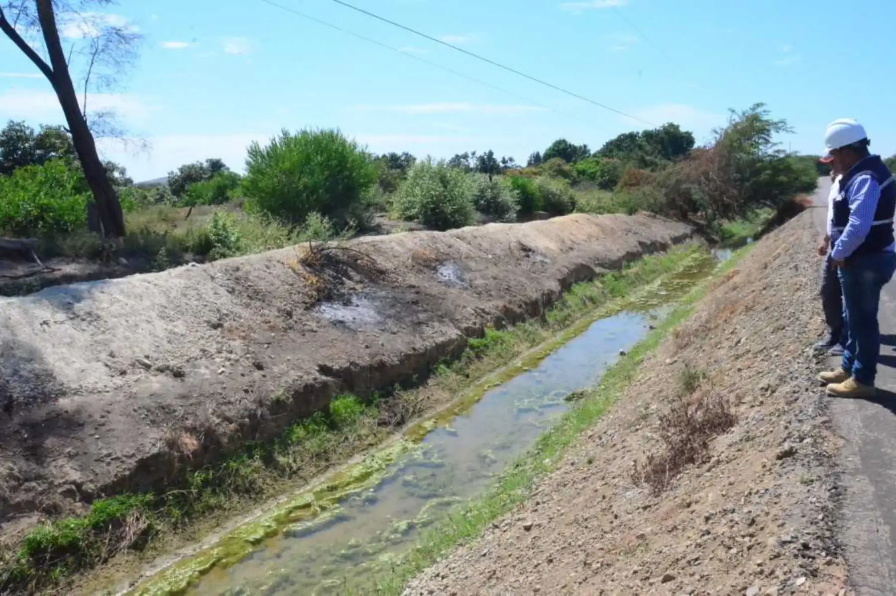 ANDINA/Difusión