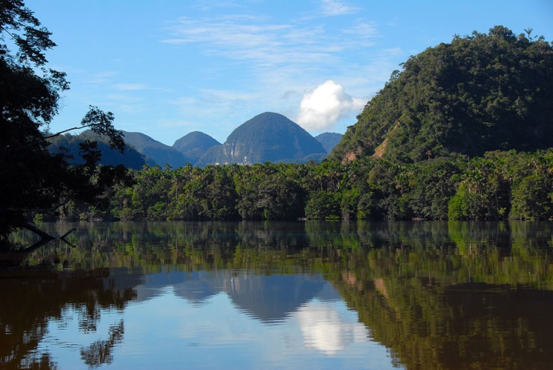 Parque Nacional Cordillera Azul, una de las áreas naturales protegidas de mayor superficie del Perú y riqueza biológica del mundo. ANDINA/Difusión