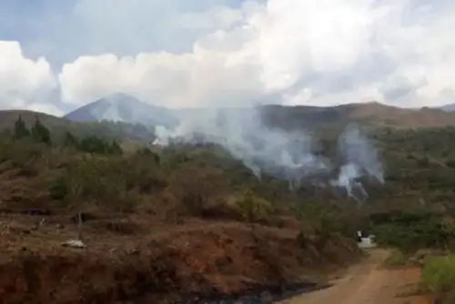 Personal del Cuerpo General de Bomberos de la provincia de La Convención, en la región Cusco, con apoyo de la Policía Nacional y del Ejército, extinguieron en su totalidad el incendio forestal que se registró en el distrito de Santa Ana la tarde de ayer.