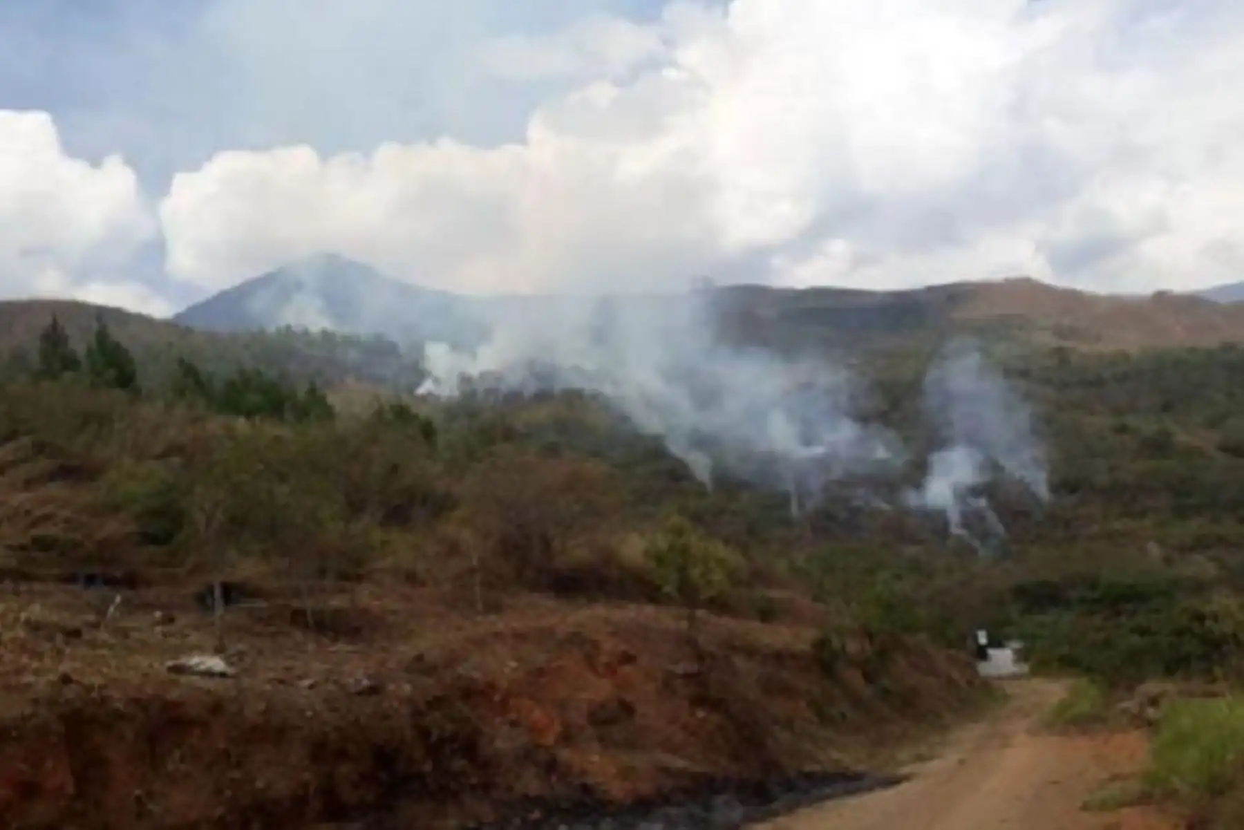 Personal del Cuerpo General de Bomberos de la provincia de La Convención, en la región Cusco, con apoyo de la Policía Nacional y del Ejército, extinguieron en su totalidad el incendio forestal que se registró en el distrito de Santa Ana la tarde de ayer.