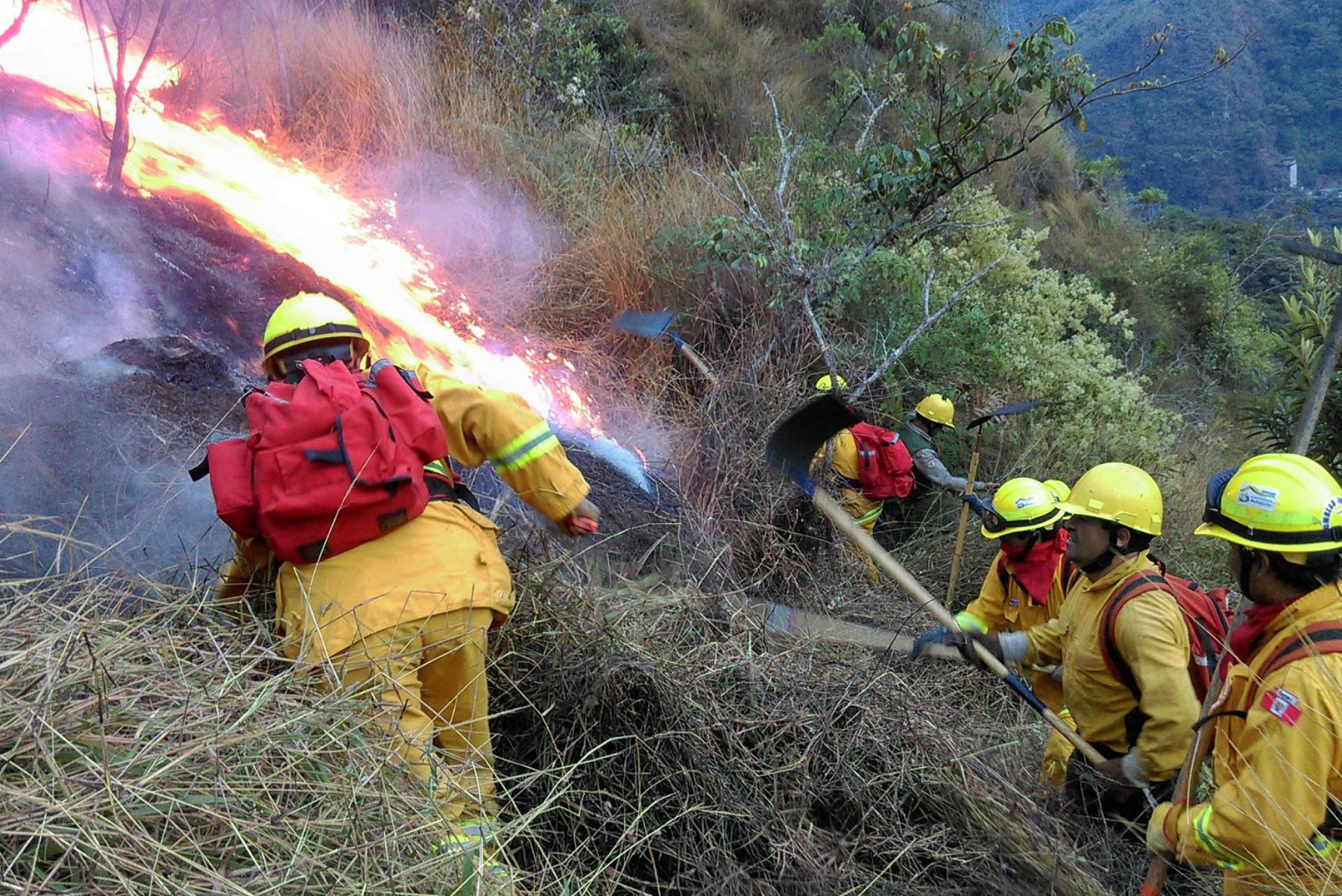 Brigadistas trabajaron para sofocar incendio forestal en Machu Picchu.